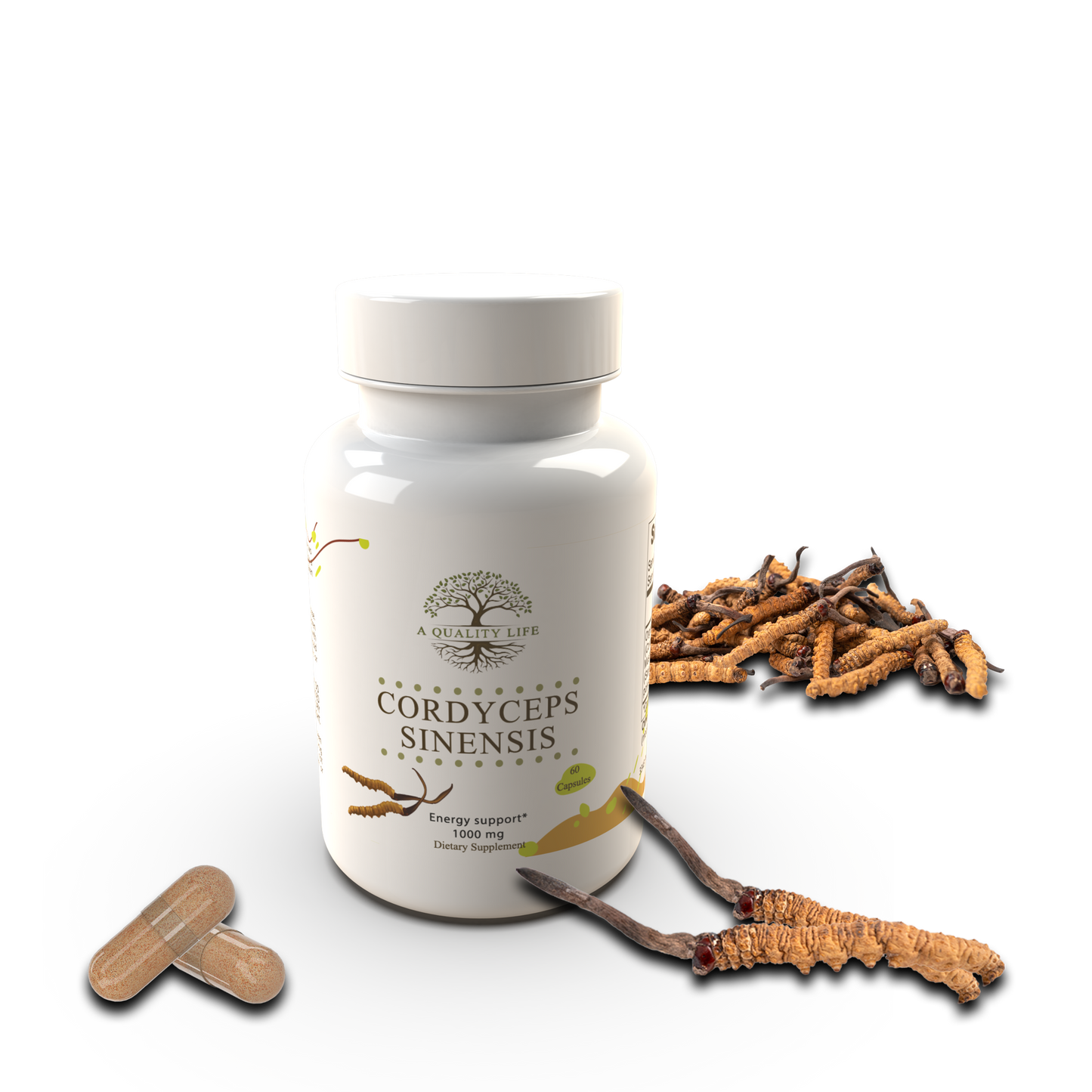 Organic Cordyceps Mushroom Capsules Lab Verified