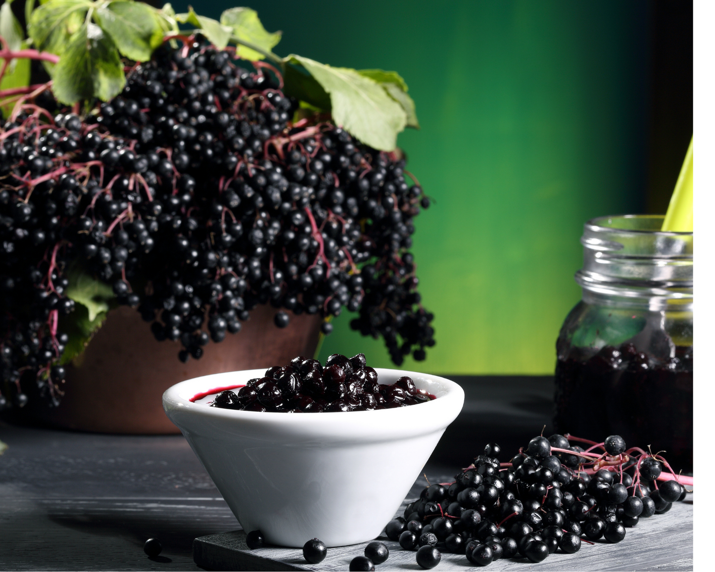 Elderberry Plus Supplement For Natural Immune Support "Natures' Gift"-Viraldine