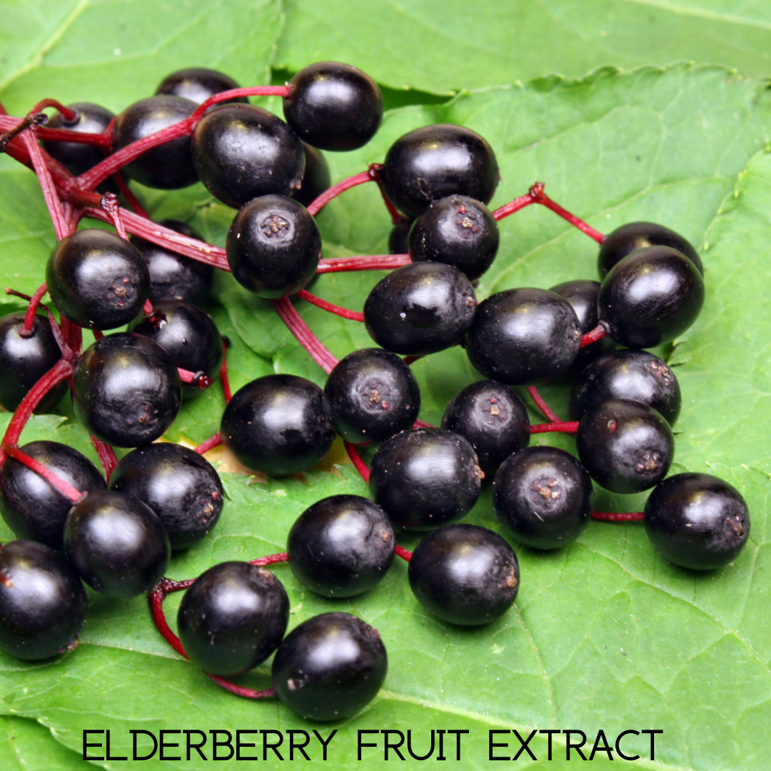 Immune Support With Elderberry, Vitamin C and Zinc