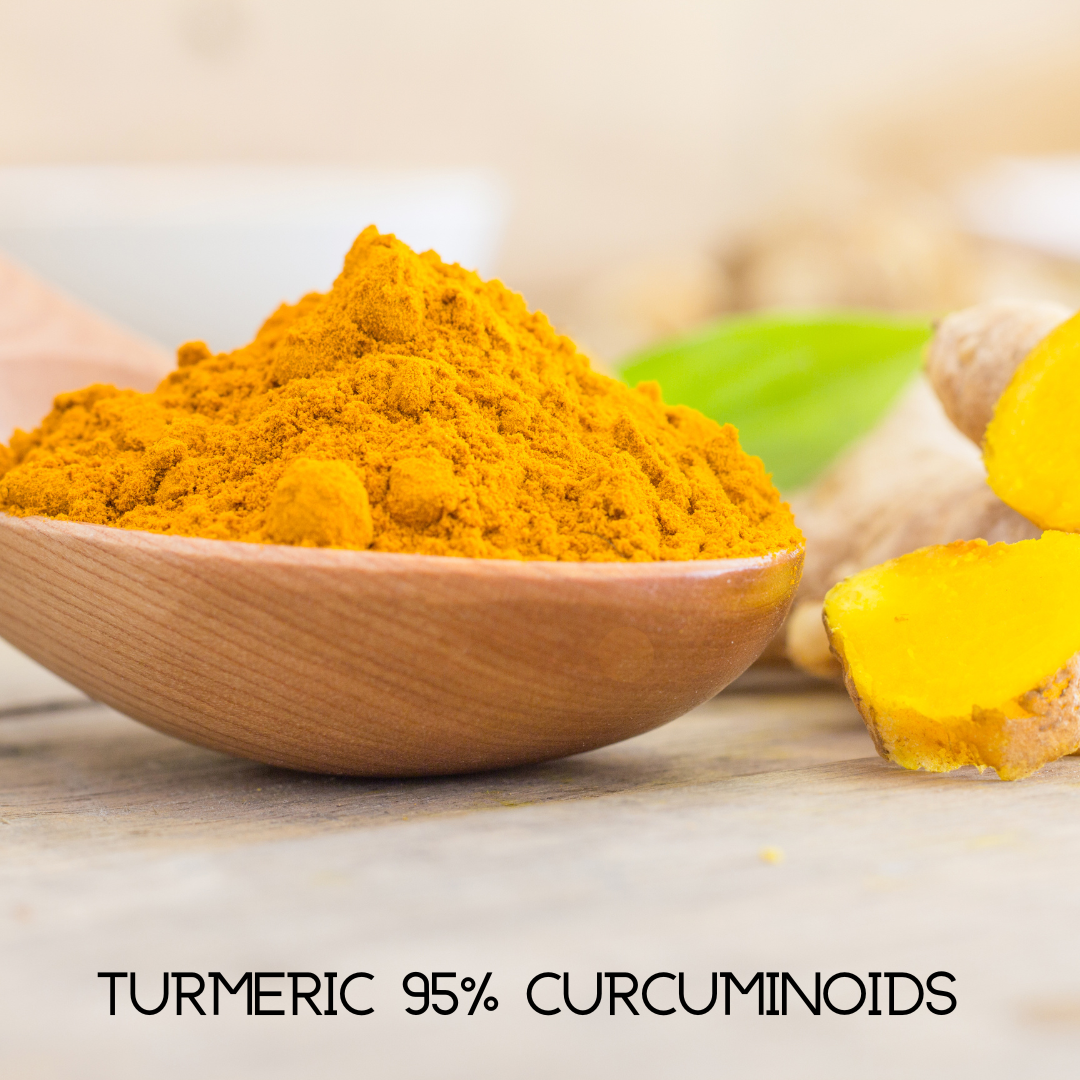 Immune Support With Elderberry, Vitamin C and Zinc