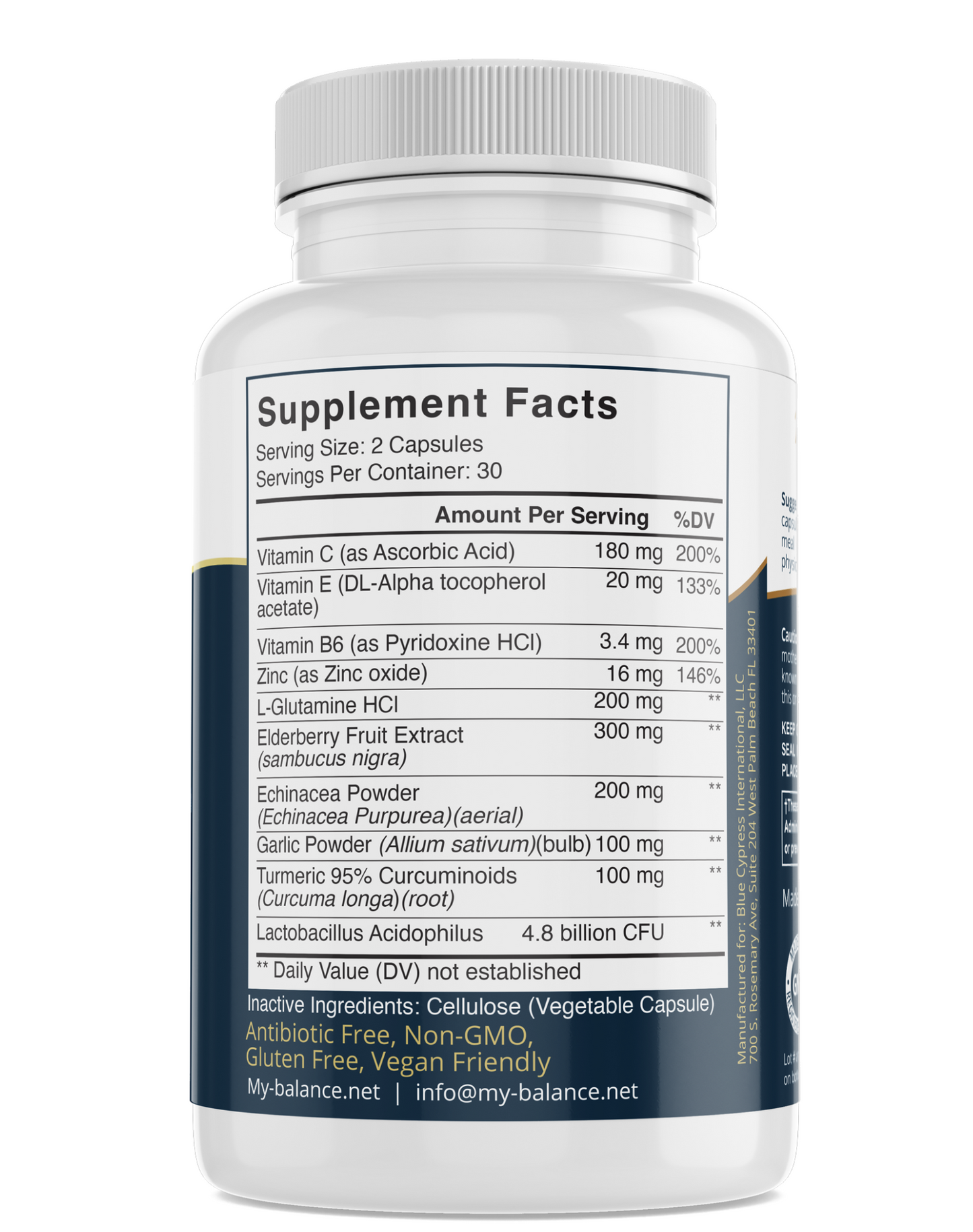 Immune Support With Elderberry, Vitamin C and Zinc