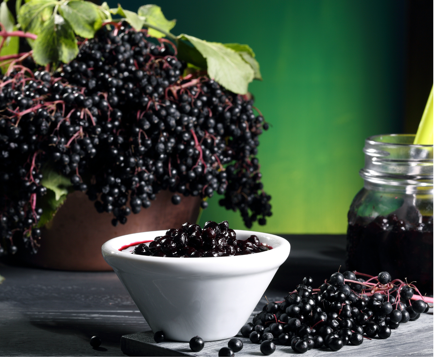 Elderberry Plus Supplement For Natural Immune Support "Natures' Gift"